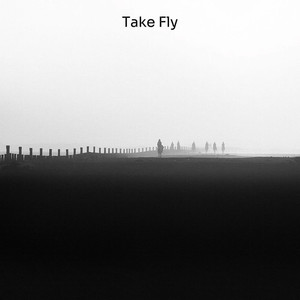 Take Fly