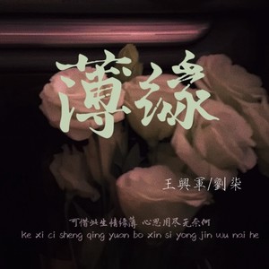 栀子爱上茉莉花