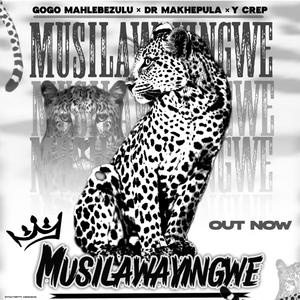 MUSILAWAYINGWE (feat. Y Crep & Dr Makhepula) (Special Version)