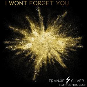 I Won't Forget You (feat. Sophia Snoh)