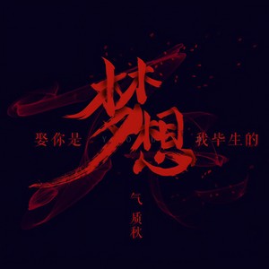 娶你是我毕生的梦想