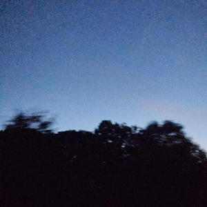 Daily (feat. 6evermir) (Explicit)