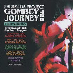 The Bermuda Project: Gombey Journey 400