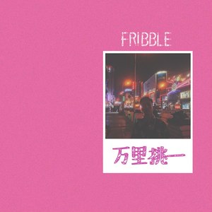 万里挑一-Fribble