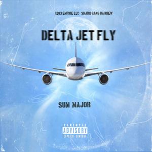 Delta Jet Fly (Explicit)