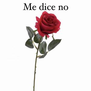 Me dice no
