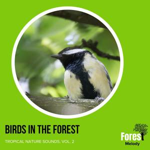 Birds in the Forest - Tropical Nature Sounds, Vol. 2