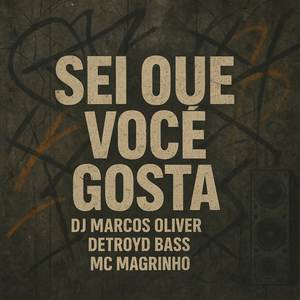 Sei Que Você Gosta (Explicit)