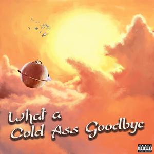 What a Cold Ass Goodbye (Explicit)