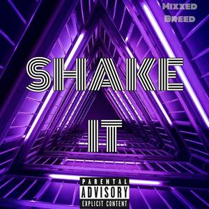 Shake It (Explicit)