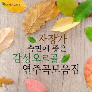 모차르트 - 작은별 변주곡