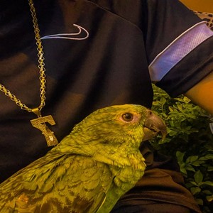 Balão Whisky (Explicit)