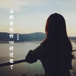 这颗爱你的心快没电了封面