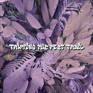 Tripping the Fest Trail