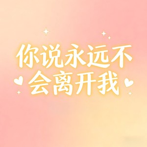 你说永远不会离开我