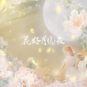 花好月圆夜