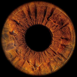 Seyh Zeg - İRİS-MARRY (Explicit)