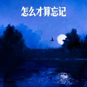 怎么才算忘记-阿钦