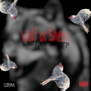 Wolf Or Sheep (Explicit)