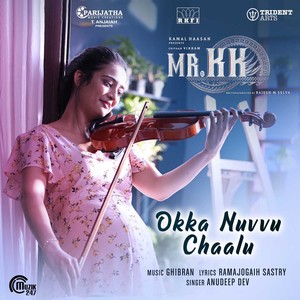 Okka Nuvvu Chaalu (From "Mr. KK")