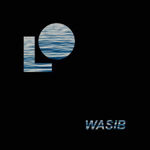 WASIB (What A Stupid I've Been)