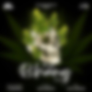 Aaya Bhang Leke (feat. V Shahpuria)