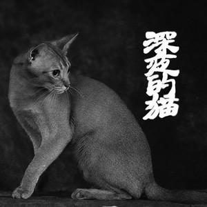 深夜的猫 (伴奏)