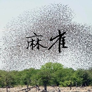 金元昊 - 说了再见