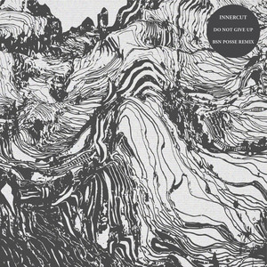 Do Not Give Up (Bsn Posse Remix)