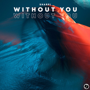 Without You