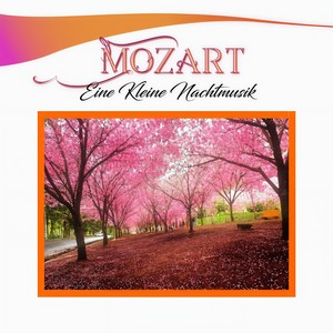 Divertimento in B-Flat Major, K. 137 - III. Allegro assai
