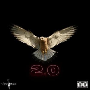 Birds 2.0 (Projekt Remix) [Explicit]