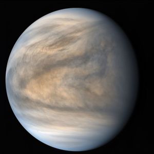 Venus