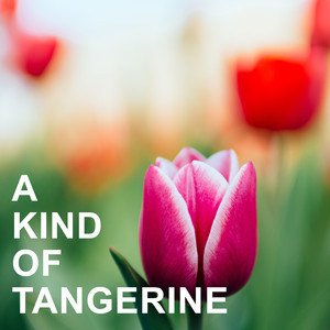 A Kind of Tangerine