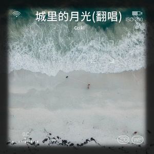 城里的月光 (Live)