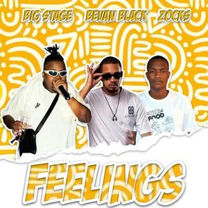 Feelings (feat. Khaya Stage & Zocks)