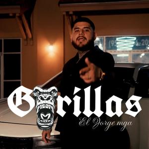 Gorillas (Explicit)