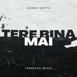 Tere Bina Mai