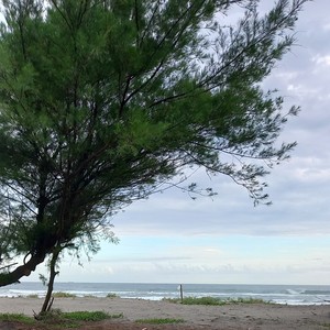 Pantai selatan