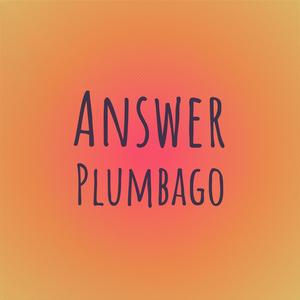 Answer Plumbago