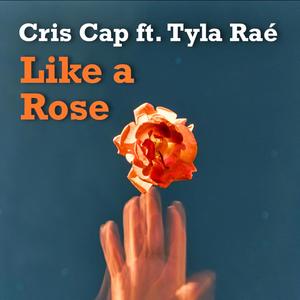 Like a Rose(feat. Tyla Raé)