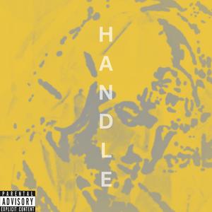 Handle (Explicit)