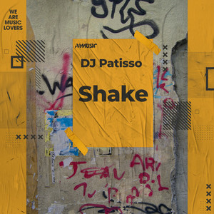 Shake (Original Mix)