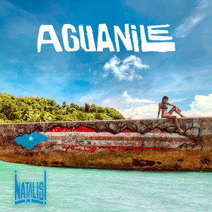 Aguanile (COVER版)