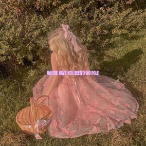 ROEINON - Where Have You Been x No Pole (Sped up + Reverb|Explicit)