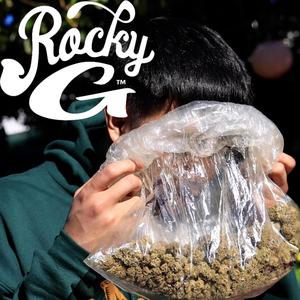 Stress Free (Explicit)