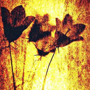 BLESSINGS (Explicit)