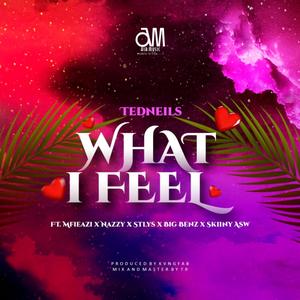 What I Feel (feat. Skiiny Asw, Styls, Nazzy, Mfieazi & Big Benz)