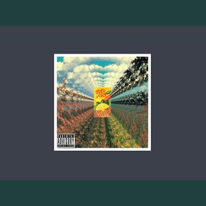 VITA(Prod.Robins Lu)