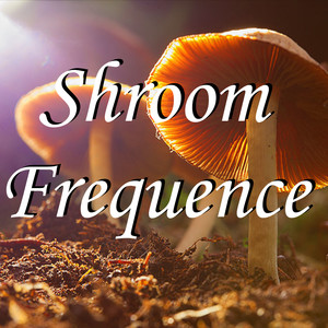 Shroom Frequence